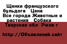 Щенки французского бульдога › Цена ­ 30 000 - Все города Животные и растения » Собаки   . Тверская обл.,Ржев г.